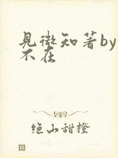 见微知著by音不在