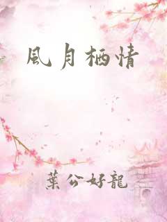 风月栖情