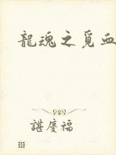 龙魂之觅血心缘