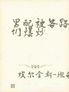 男配被各路大佬们爆炒