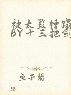被太监糟蹋之后BY十三把剑