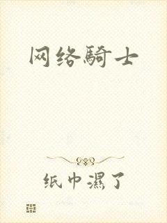 网络骑士