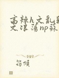 高辣h文乱乳h文浪荡np苏夏