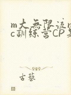 m大无限流npc训练营CP是