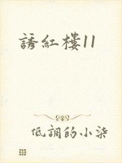 诱红楼11