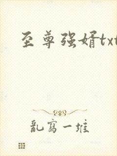 至尊强婿txt