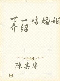 下一站婚姻剧情介绍