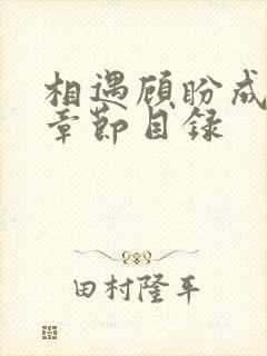 相遇顾盼成欢全章节目录