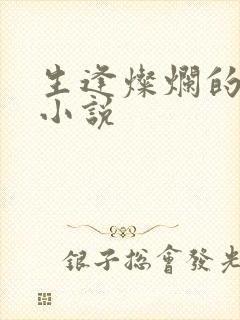 生逢灿烂的日子小说