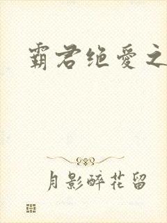 霸君绝爱之祖训