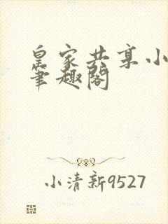 皇家共享小公主笔趣阁