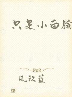 只是小白脸