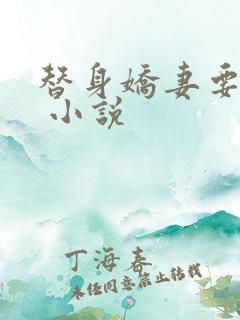 替身娇妻要离婚 小说