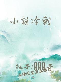 小说冷刺