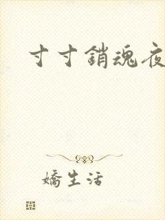 寸寸销魂夜春光