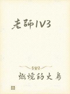 老师1V3