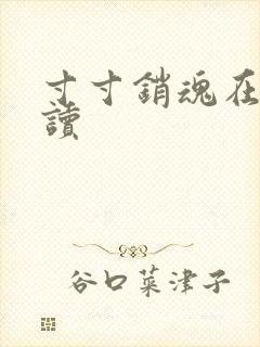 寸寸销魂在线阅读