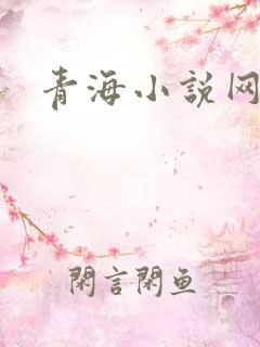 青海小说网