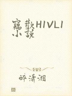 窃欢H1VL1小说