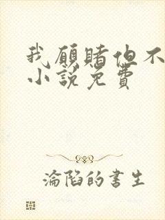 我愿赌但不服输小说免费