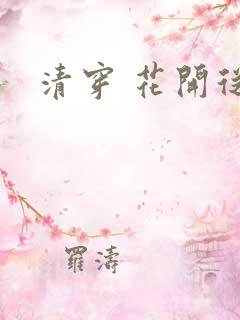 清穿 花开从容