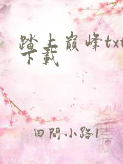 踏上巅峰txt下载