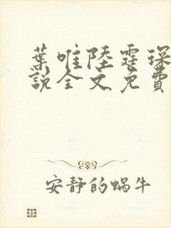 叶唯陆霆琛的小说全文免费阅读