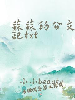 苏苏的公交车日记txt