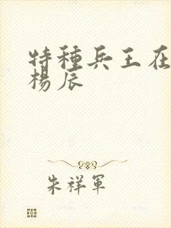 特种兵王在都市杨辰