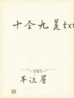 十全九美txt