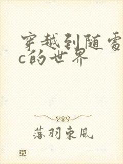 穿越到随处可以c的世界