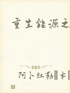 重生能源之王