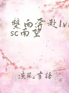 双向奔赴1v1sc南望