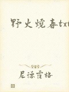 野火烧春txt