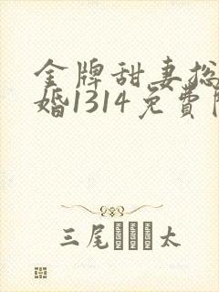 金牌甜妻总裁宠婚1314免费阅读