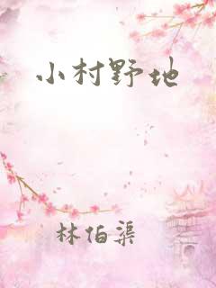 小村野地