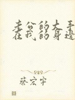 老公的大手游走在我的身边