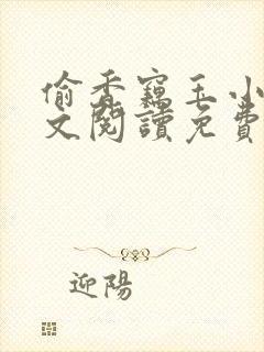 偷香窃玉小说全文阅读免费