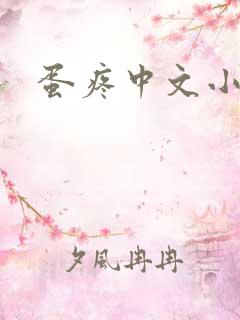 蛋疼中文小说网