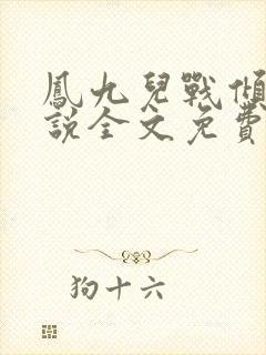 凤九儿战倾城小说全文免费阅读无弹窗