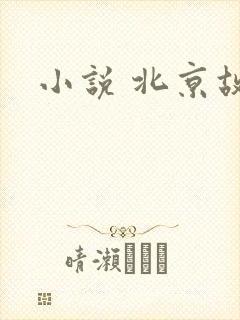 小说 北京故事