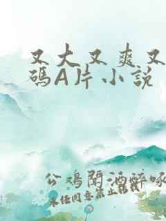 又大又爽又黄无码A片小说