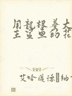 用龙根养大的公主鲨鱼的花