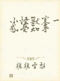 小怪兽塞一天的感受知乎