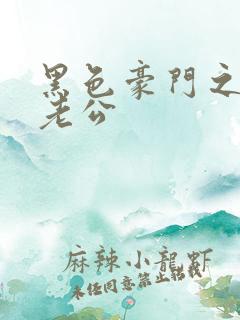 黑色豪门之王子老公