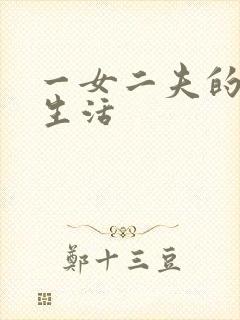 一女二夫的激情生活