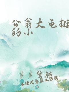 公翁大龟挺进我的小