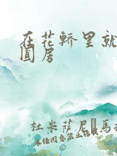 在花轿里就开始圆房