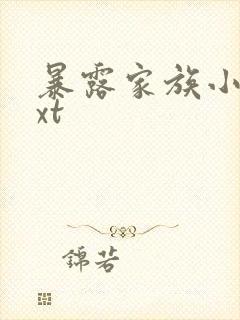 暴露家族小说txt