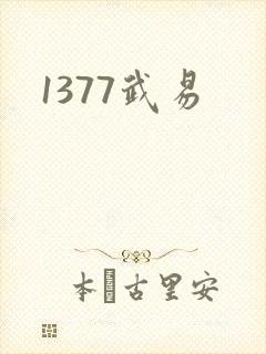 1377武易